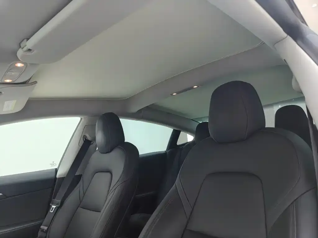 Tesla Model 3 2021 из CN, фото 3