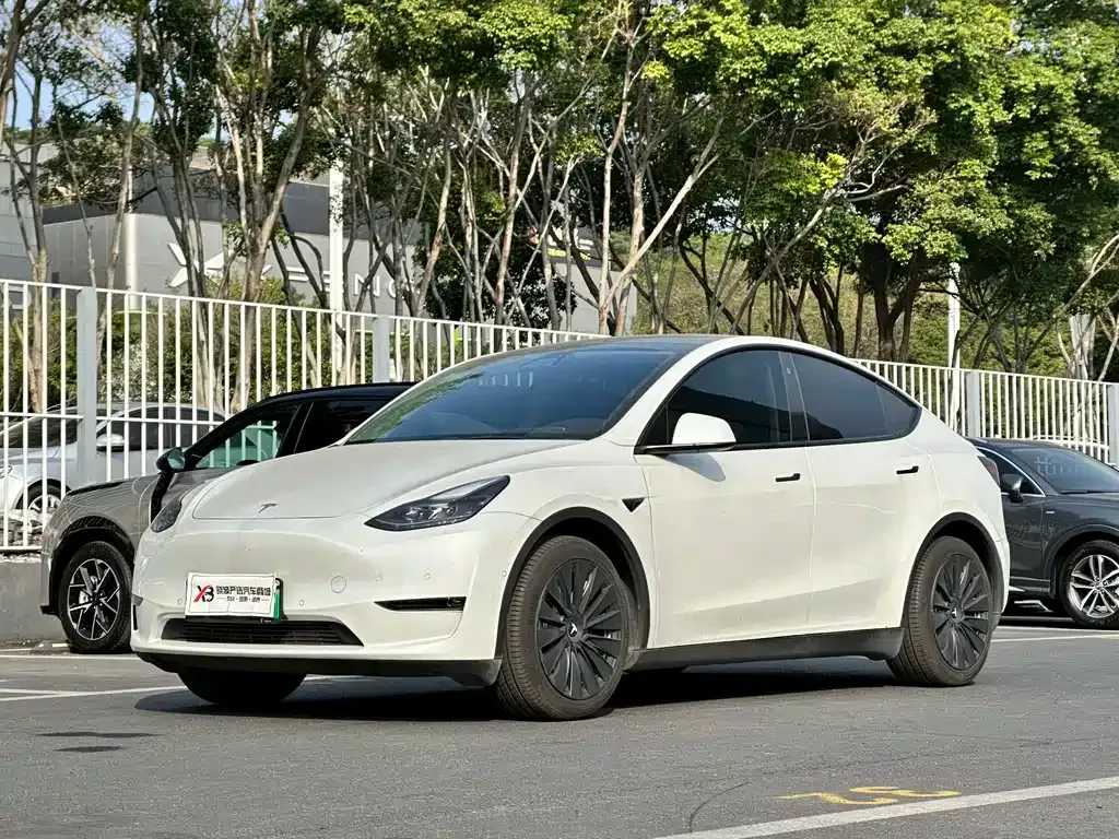 Tesla Model Y — фото 1