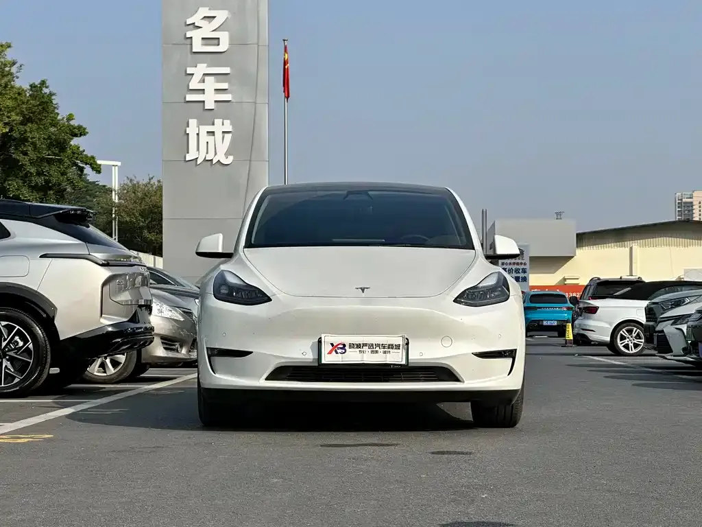 Tesla Model Y — фото 2