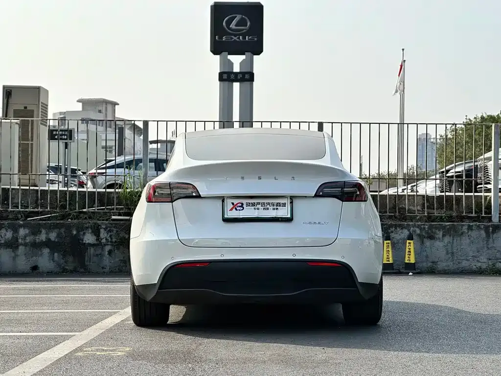 Tesla Model Y — фото 6