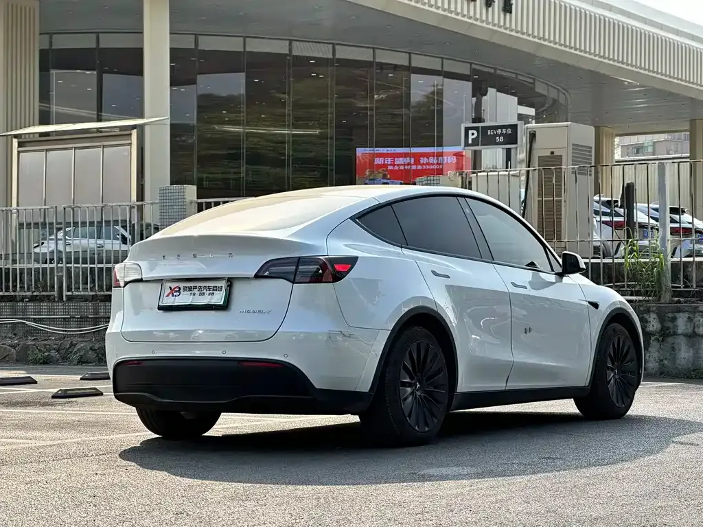 Tesla Model Y — фото 10