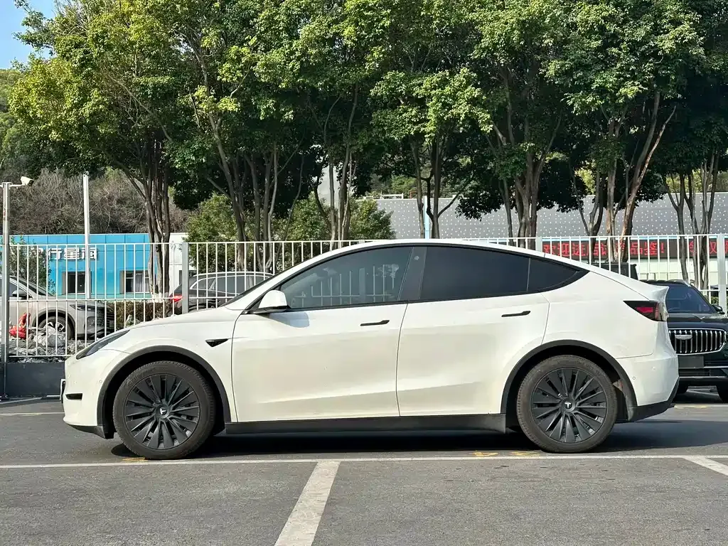 Tesla Model Y — фото 9