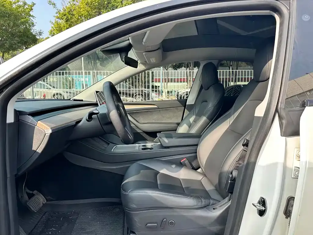 Tesla Model Y — фото 8