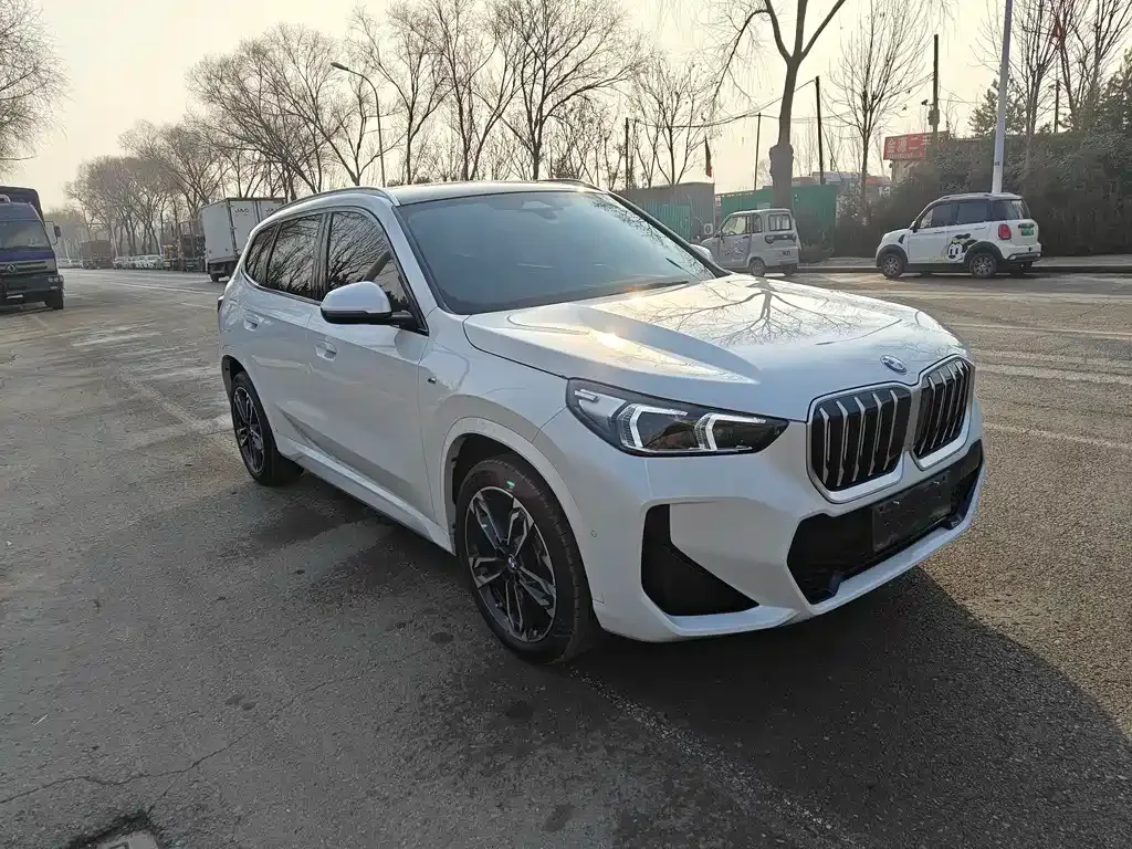 BMW X1 2024 из CN, фото 6