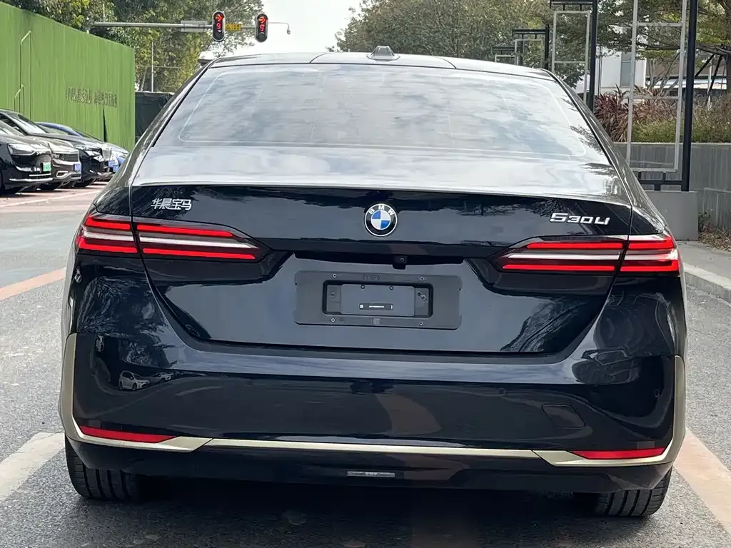 BMW 5 Series 2025 из CN, фото 9
