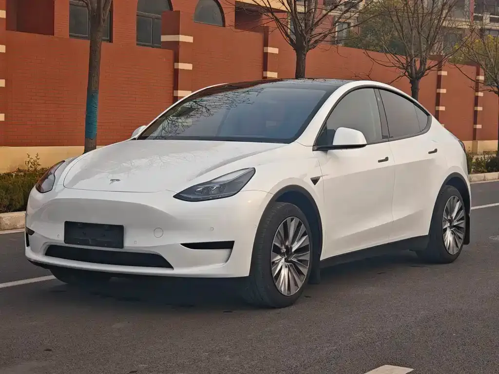Tesla Model Y 2024 из CN, фото 1