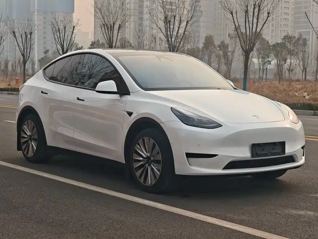 Tesla Model Y 2024 из CN, фото 8