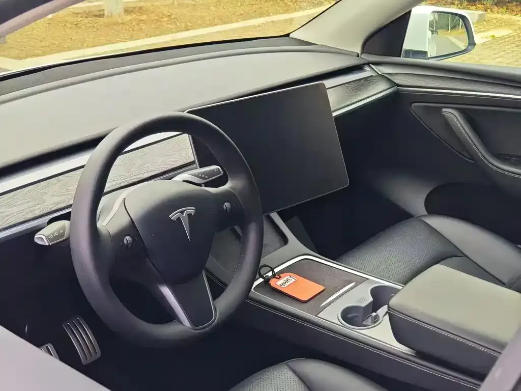 Tesla Model Y 2024 из CN, фото 9