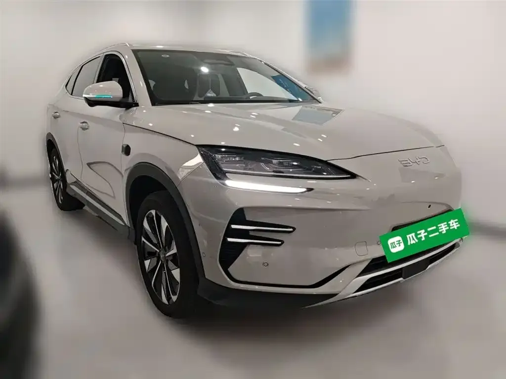 BYD PLUS New Energy 2025 из CN, фото 6