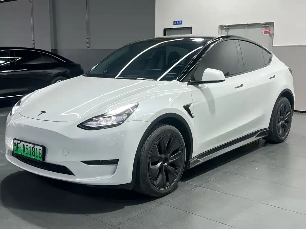 Tesla Model Y 2024 из CN, фото 1