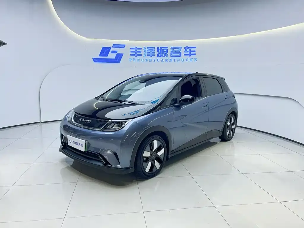BYD Dolphin 2024 из CN, фото 1