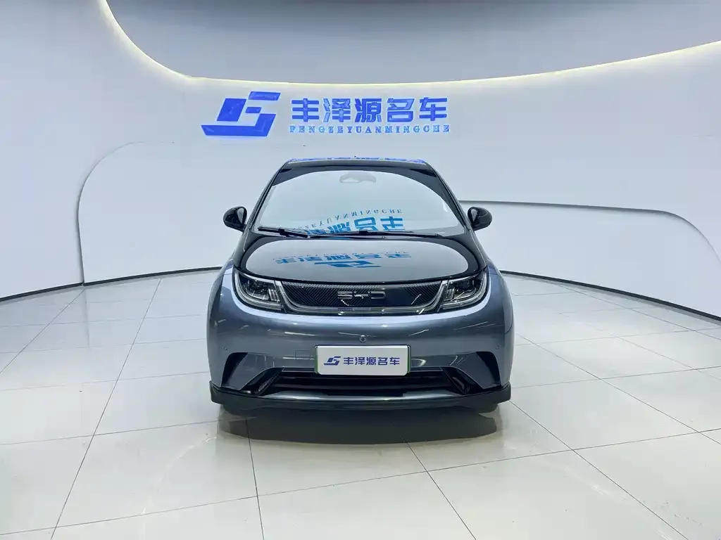 BYD Dolphin 2024 из CN, фото 5
