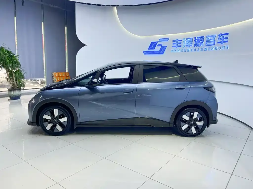 BYD Dolphin 2024 из CN, фото 7
