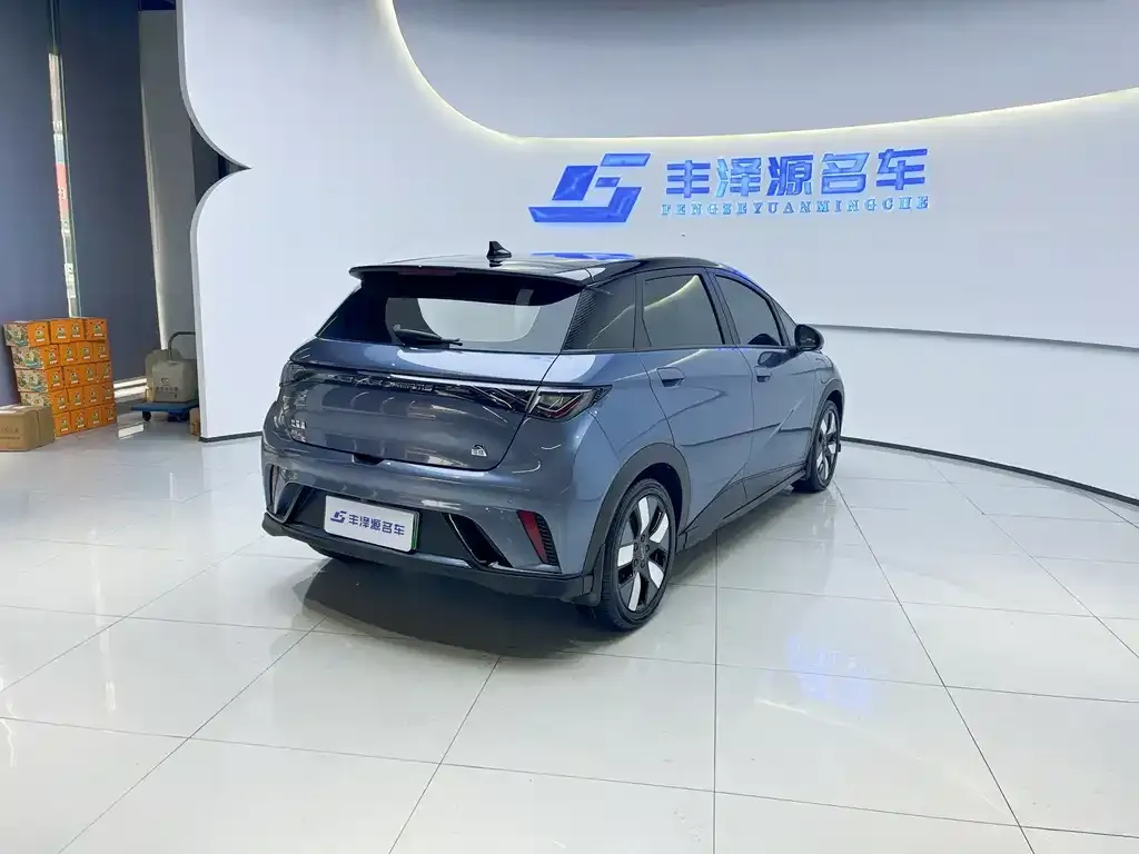 BYD Dolphin 2024 из CN, фото 3