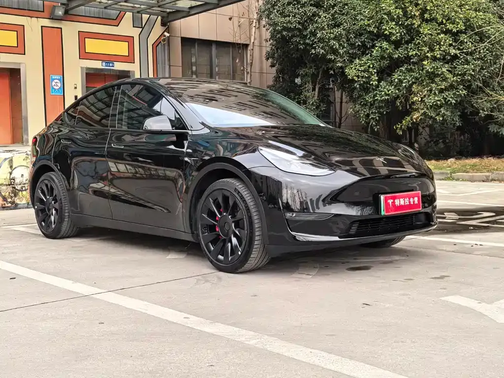 Tesla Model Y 2022 из CN, фото 9