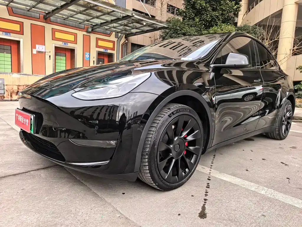 Tesla Model Y 2022 из CN, фото 8