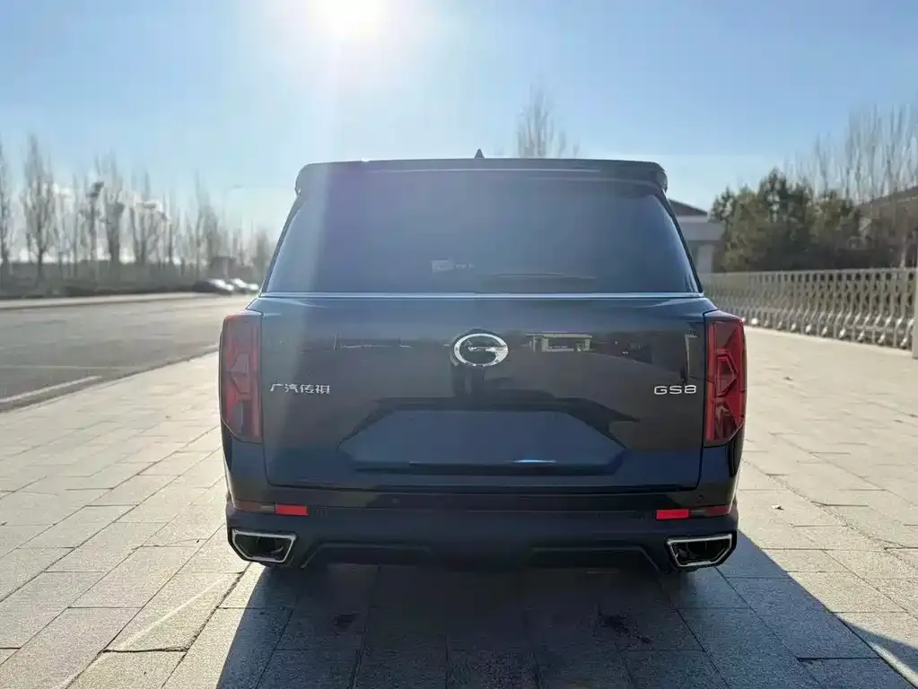 GAC Motor Trumpchi GS8 2024 из CN, фото 3