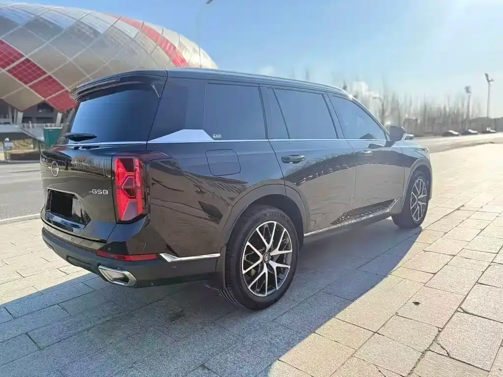 GAC Motor Trumpchi GS8 2024 из CN, фото 9