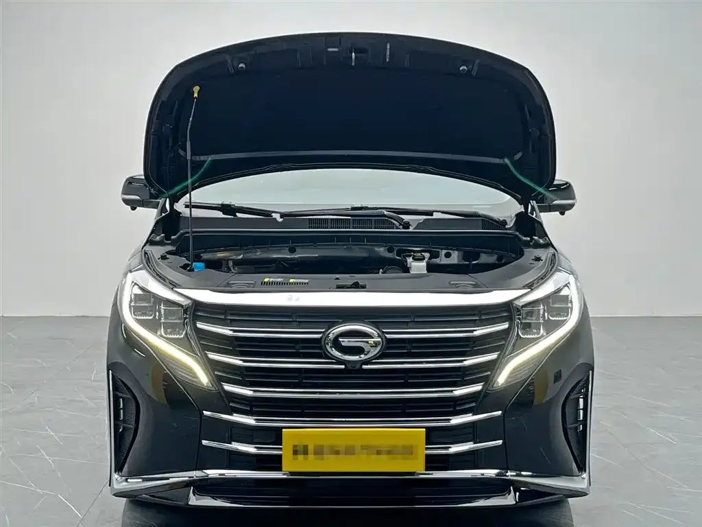 GAC Motor Trumpchi M8 2022 из CN, фото 9