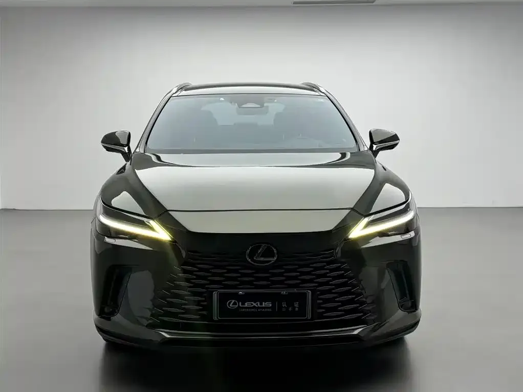 Lexus RX New Energy 2023 из CN, фото 2