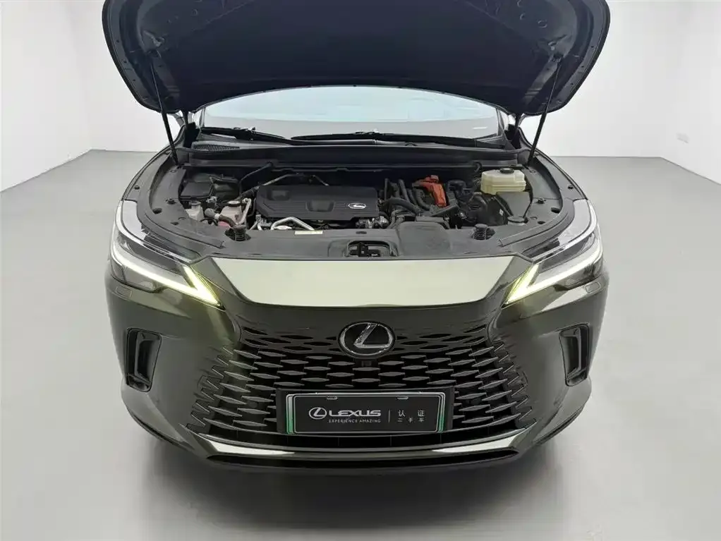 Lexus RX New Energy 2023 из CN, фото 4