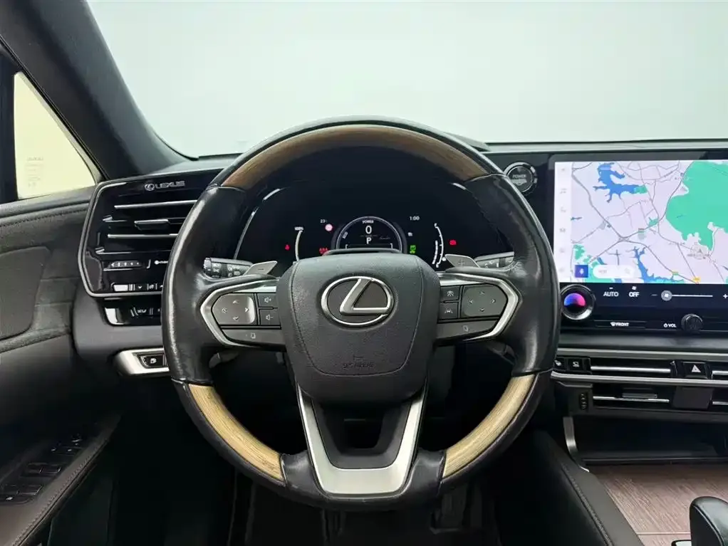 Lexus RX New Energy 2023 из CN, фото 8