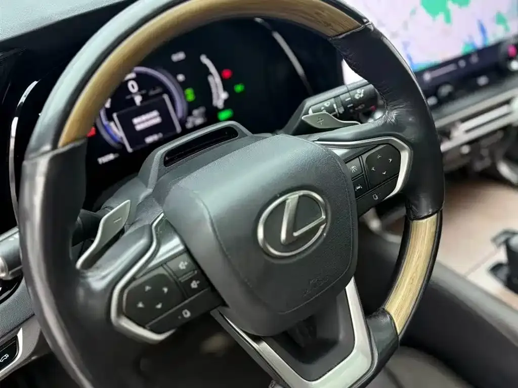 Lexus RX New Energy 2023 из CN, фото 6