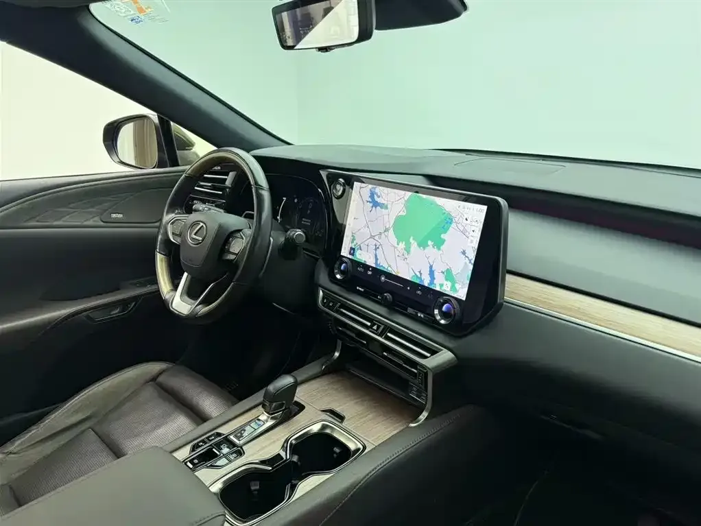 Lexus RX New Energy 2023 из CN, фото 7