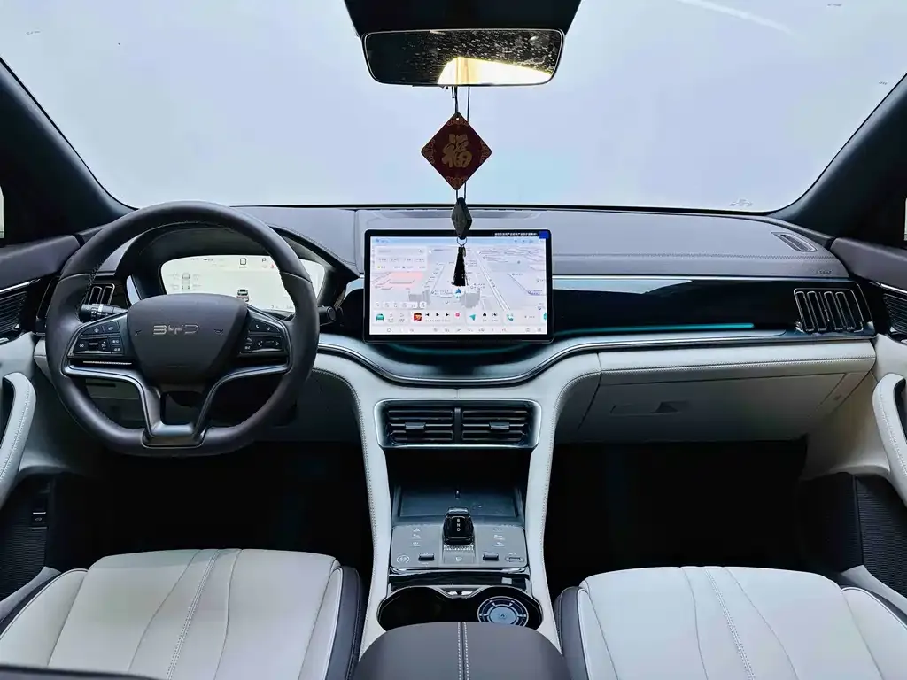 BYD PLUS New Energy — фото 8