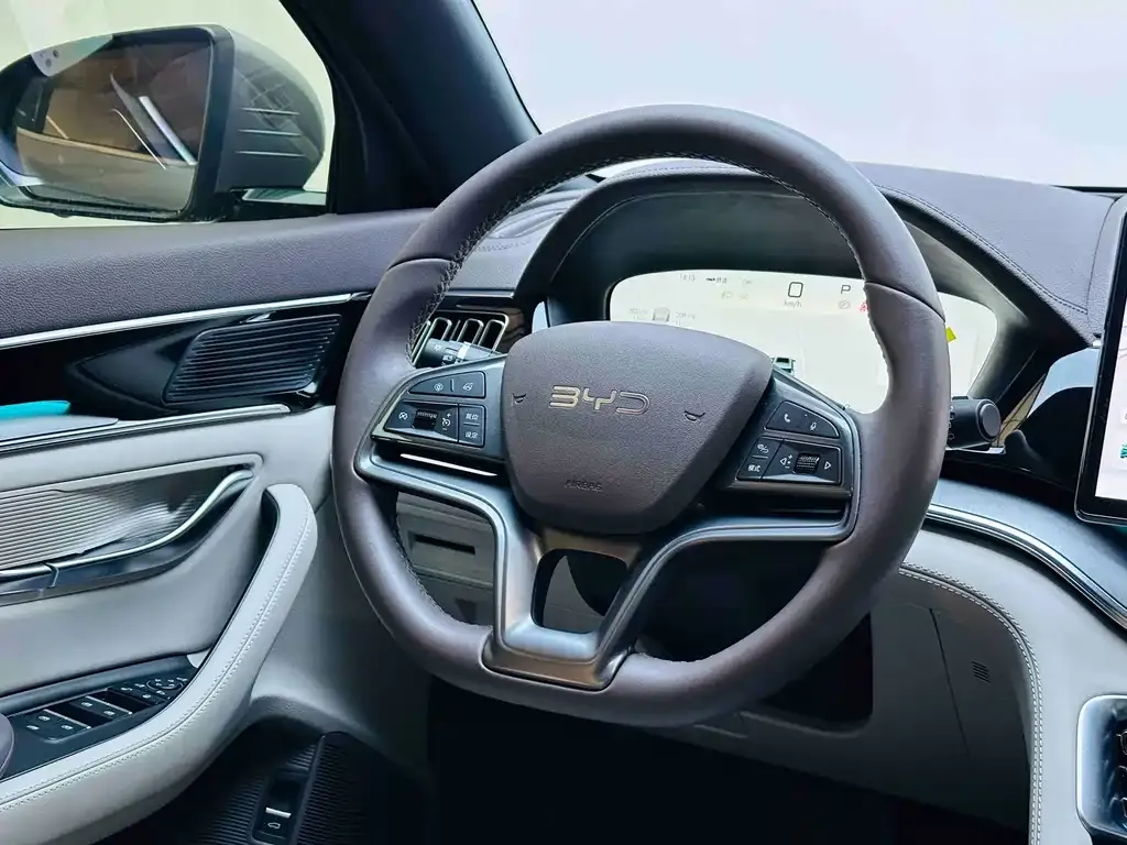 BYD PLUS New Energy — фото 10