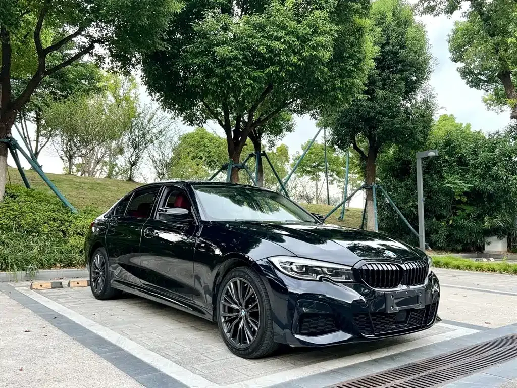 BMW 3 Series 2022 из CN, фото 10