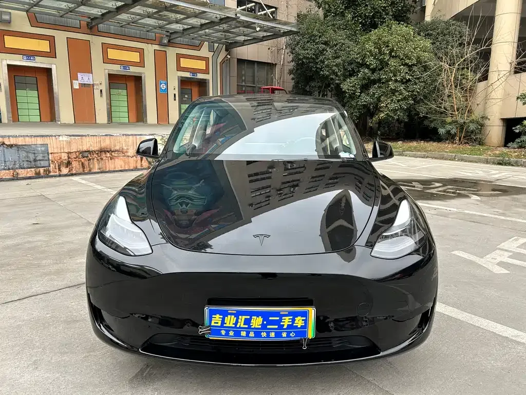 Tesla Model Y — фото 2