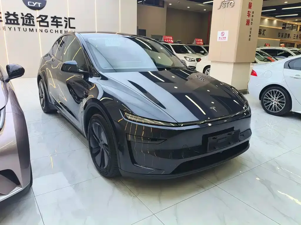 Tesla Model Y — фото 3