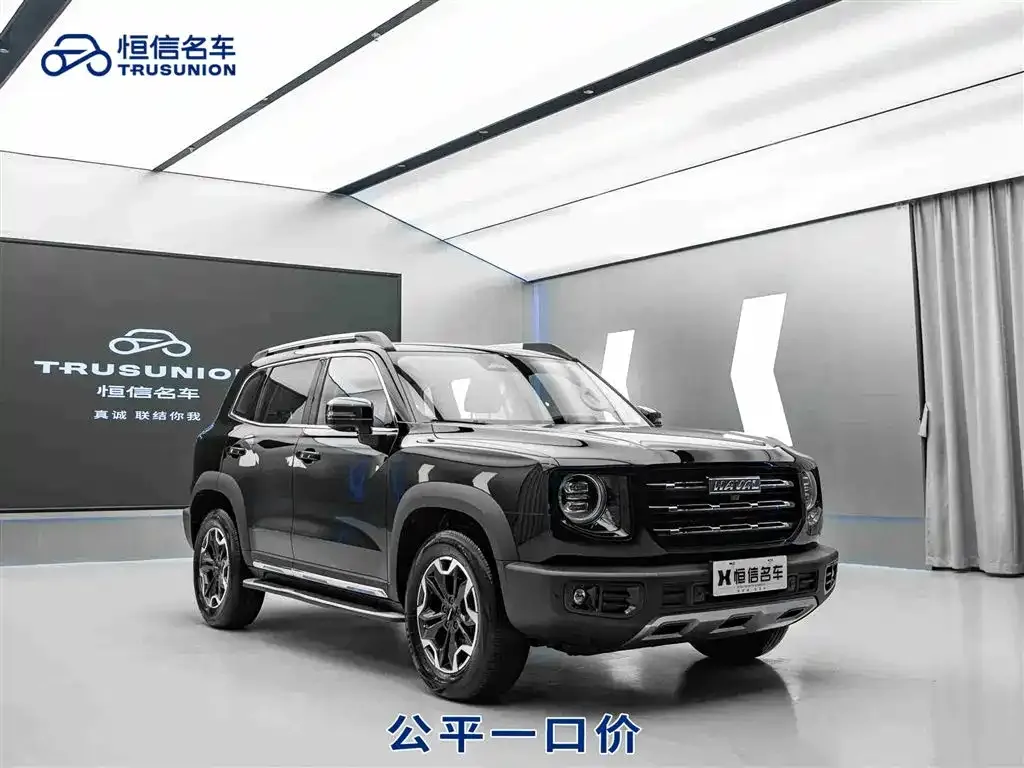 Haval Big Dog 2023 из CN, фото 1