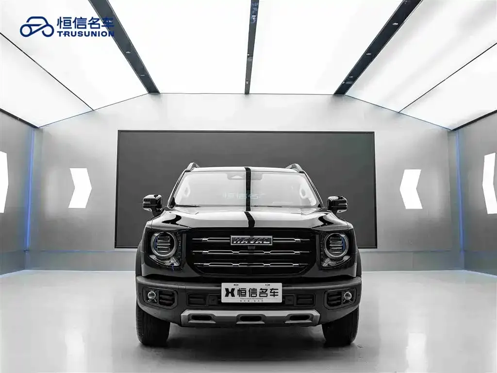 Haval Big Dog 2023 из CN, фото 7