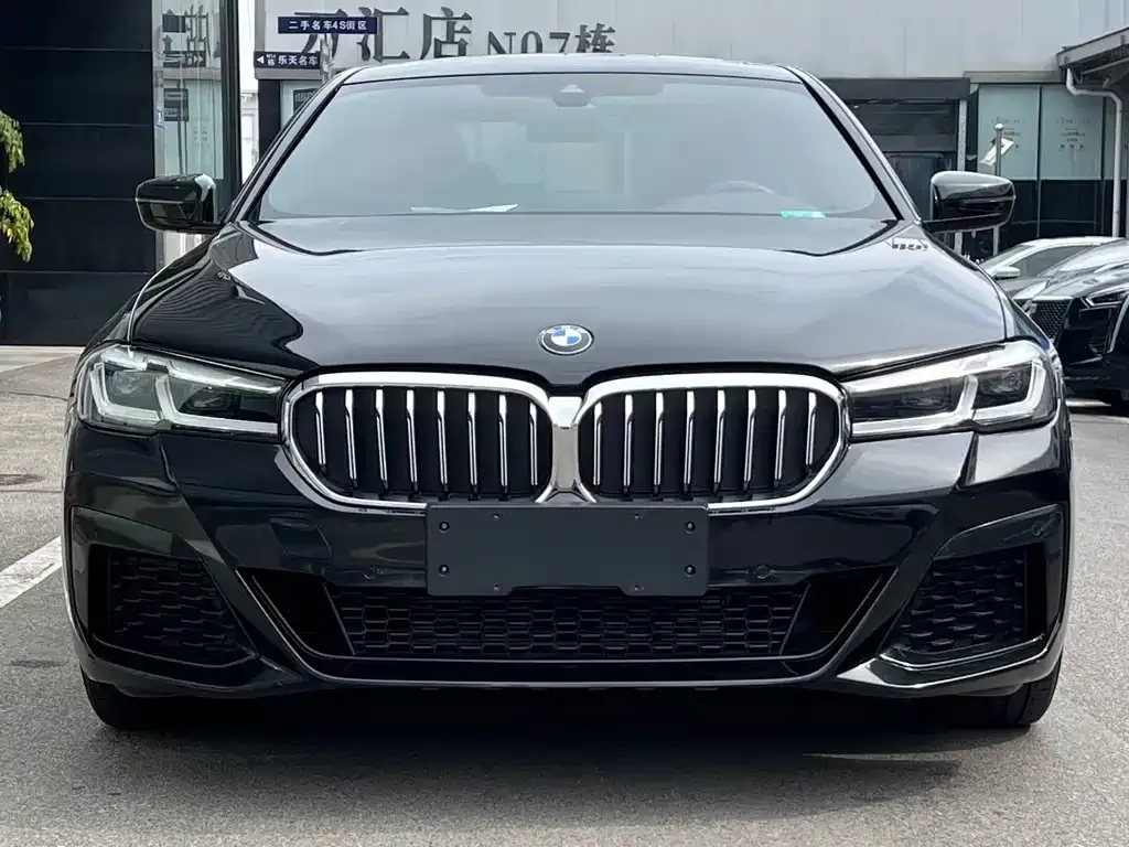 BMW 5 Series 2021 из CN, фото 6