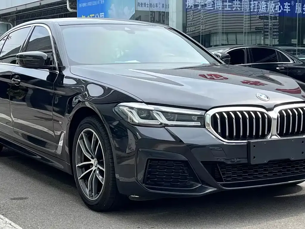 BMW 5 Series 2021 из CN, фото 4