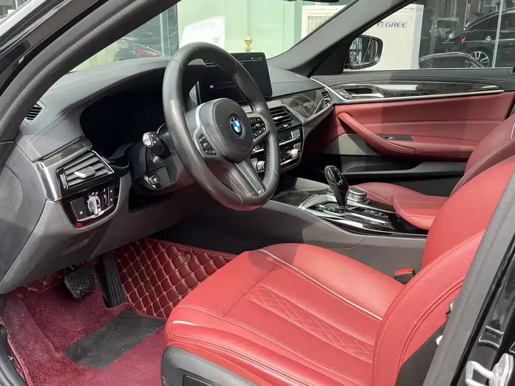 BMW 5 Series 2021 из CN, фото 9