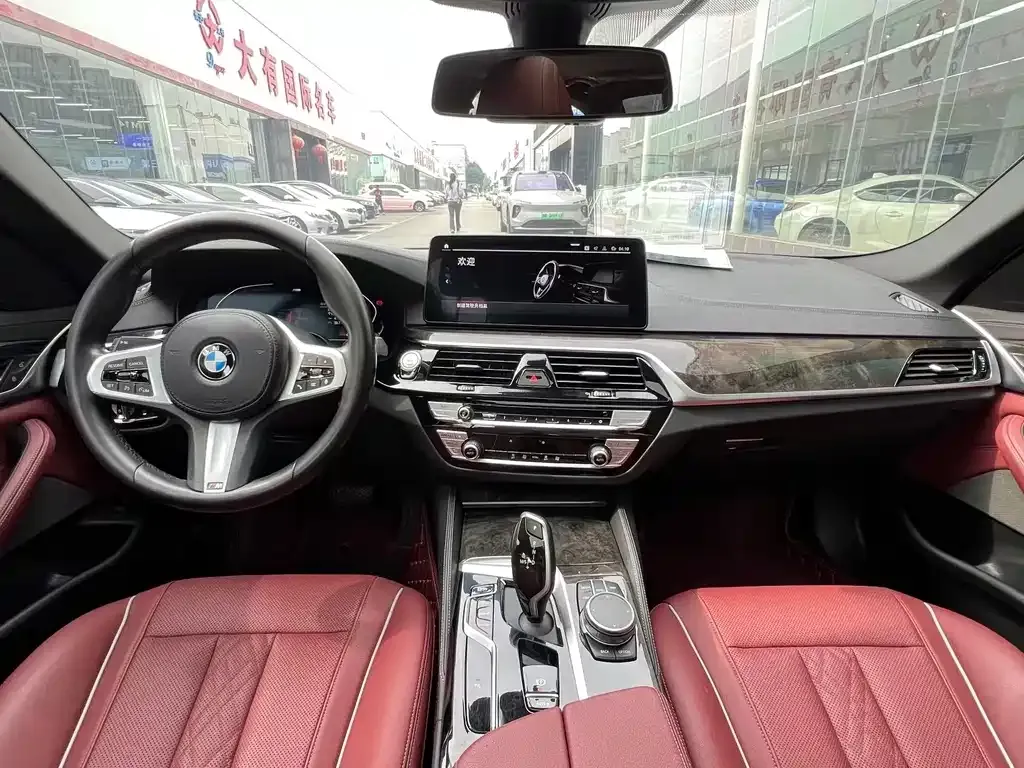 BMW 5 Series 2021 из CN, фото 2