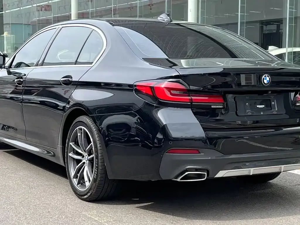 BMW 5 Series 2021 из CN, фото 5
