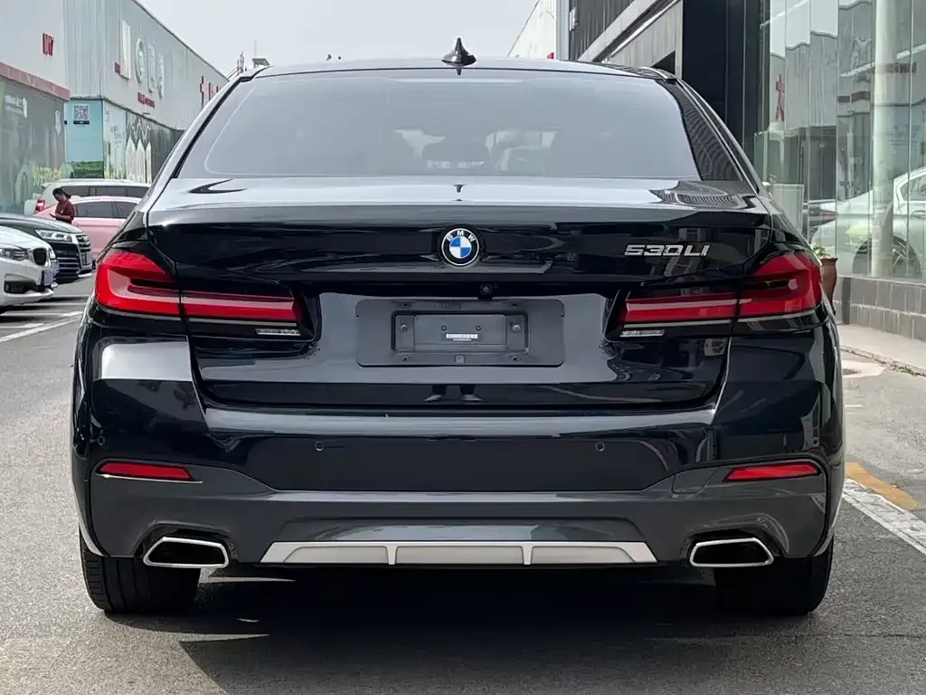 BMW 5 Series 2021 из CN, фото 7