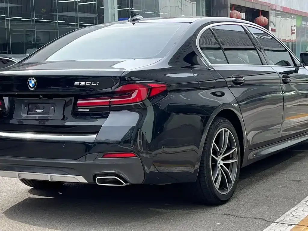 BMW 5 Series 2021 из CN, фото 3