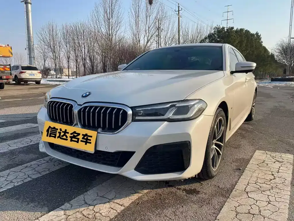 BMW 5 Series 2021 из CN, фото 1