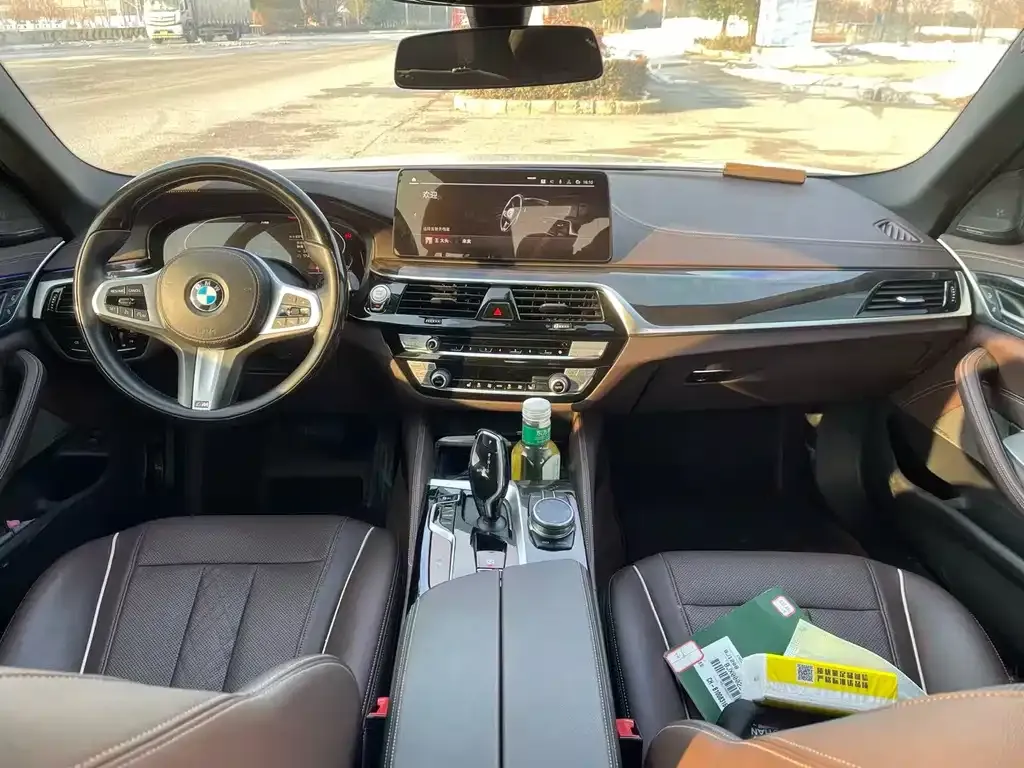 BMW 5 Series 2021 из CN, фото 7