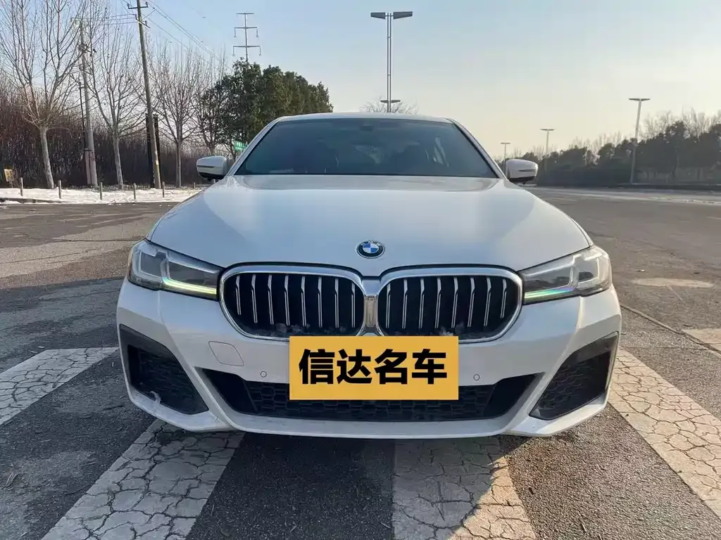 BMW 5 Series 2021 из CN, фото 8