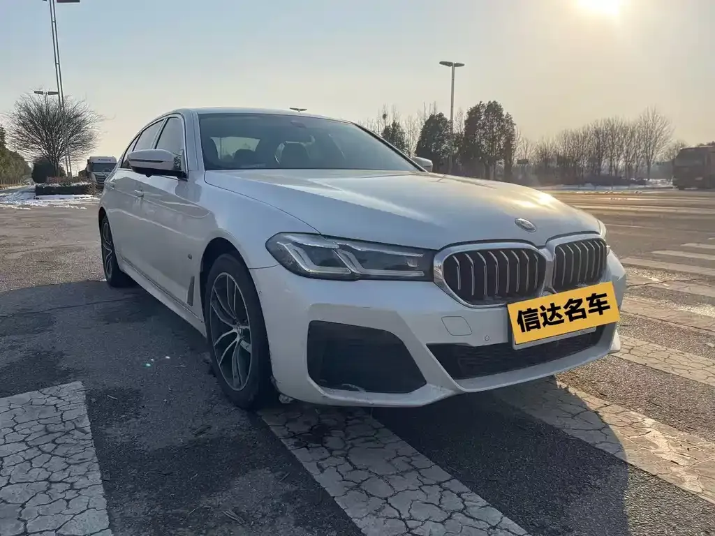 BMW 5 Series 2021 из CN, фото 10