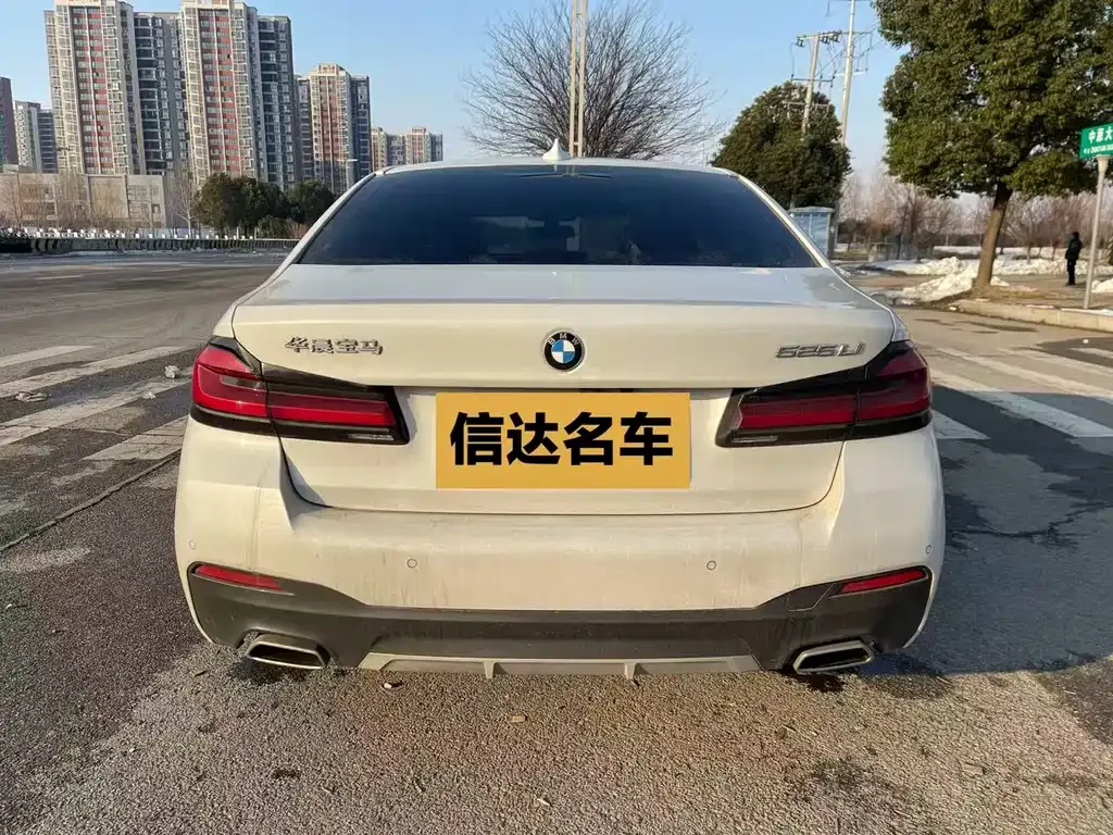 BMW 5 Series 2021 из CN, фото 6