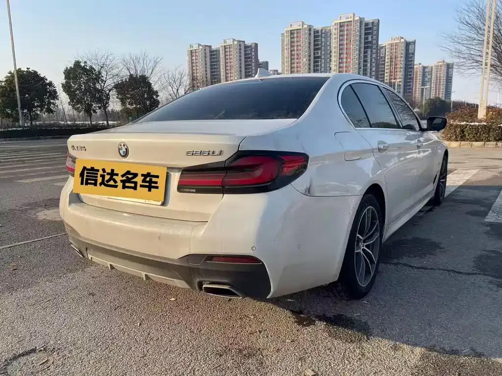 BMW 5 Series 2021 из CN, фото 9