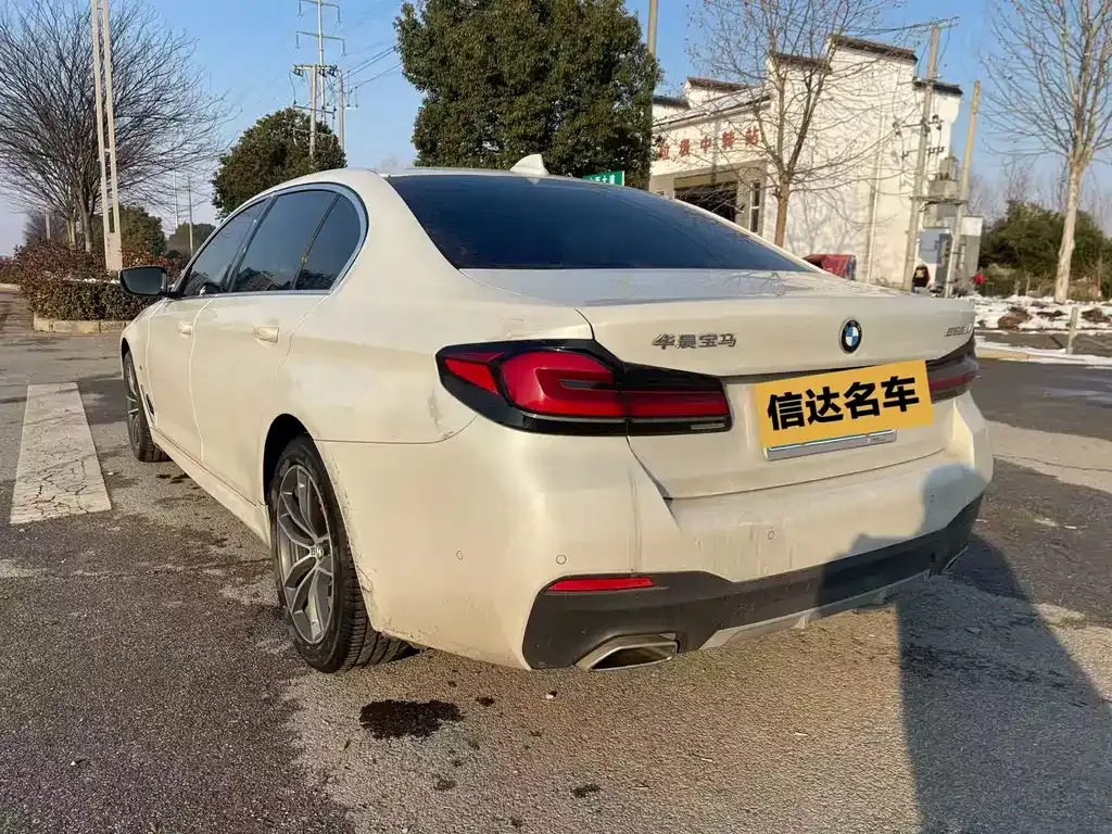 BMW 5 Series 2021 из CN, фото 5