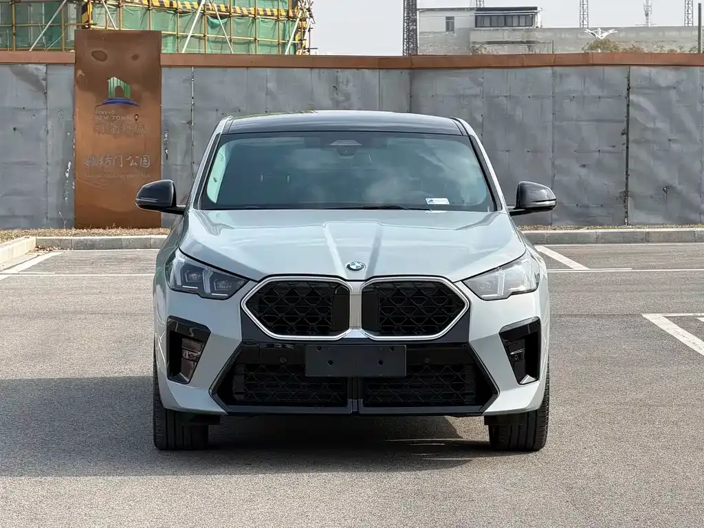 BMW X2 (Import) 2025 из CN, фото 6